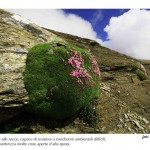 BiodiversitÃ -2009-(26)